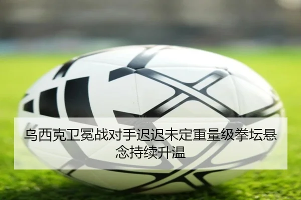 乌西克卫冕战对手迟迟未定重量级拳坛悬念持续升温